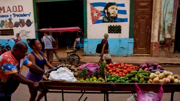 Vendedor de legumes empurra carrinho em Havana, Cuba, em 12 de agosto de 2026 - Sputnik Brasil