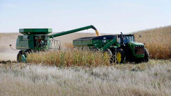 Um agricultor descarrega milho em um reboque de grãos enquanto colhe um campo próximo a Clear Lake, em Iowa, EUA. - Sputnik Brasil