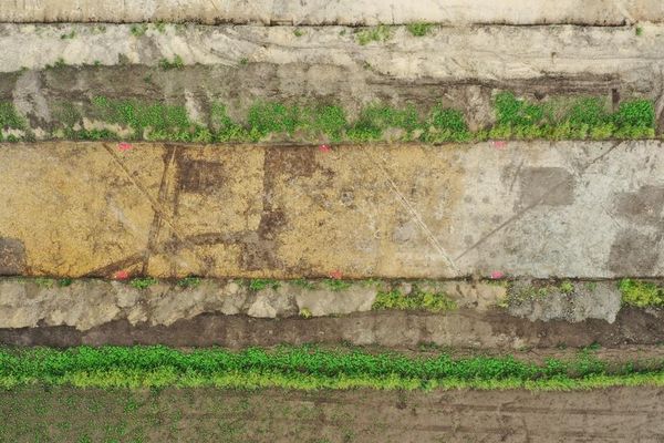 Os vestígios de vários edifícios com características de piso rebaixado são claramente visíveis na área de escavação. - Sputnik Brasil