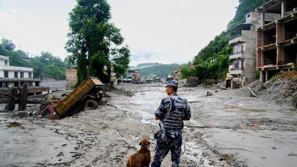 Um policial com um cão detector está examinando os efeitos das inundações em Devigata, condado de Nuwakot, Nepal - Sputnik Brasil