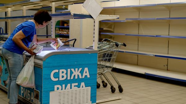Cliente escolhe produtos em um freezer ao lado de prateleiras vazias de um supermercado no leste da Ucrânia, em 11 de agosto de 2022 - Sputnik Brasil