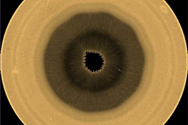 Projeção polar do hemisfério sul de Saturno em comprimentos de onda vermelhos de 763 nm, obtida pelo Telescópio Espacial Hubble, 29 de agosto de 2025 Projeção polar do hemisfério sul de Saturno em comprimentos de onda vermelhos de 763 nm, obtida pelo Telescópio Espacial Hubble, 29 de agosto de 2025 - Sputnik Brasil
