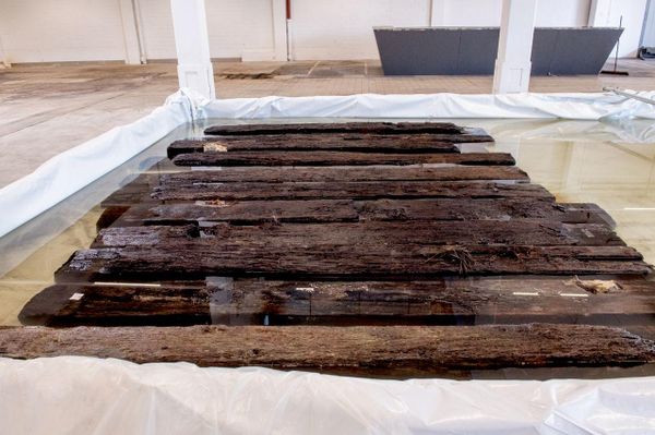A madeira, com 2.400 anos, foi descoberta às margens do rio Main, em Aschaffenburg, na Alemanha. - Sputnik Brasil