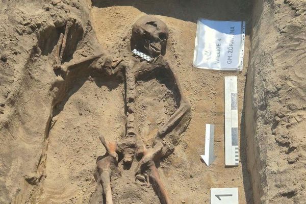 Esqueleto quase completo de um homem adulto descoberto em um túmulo de 5.000 anos perto de Zórawina, no sudoeste da Polônia - Sputnik Brasil