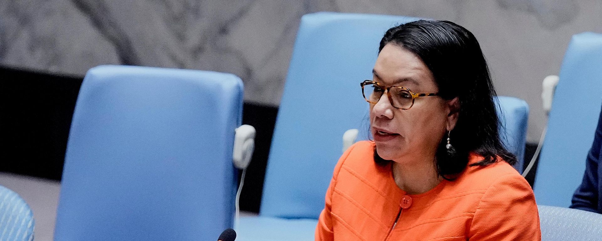 Carolyn Rodrigues-Birkett, à época embaixadora da Guiana na ONU, discursa em uma reunião do Conselho de Segurança das Nações Unidas, em 30 de junho de 2025 - Sputnik Brasil, 1920, 16.09.2026