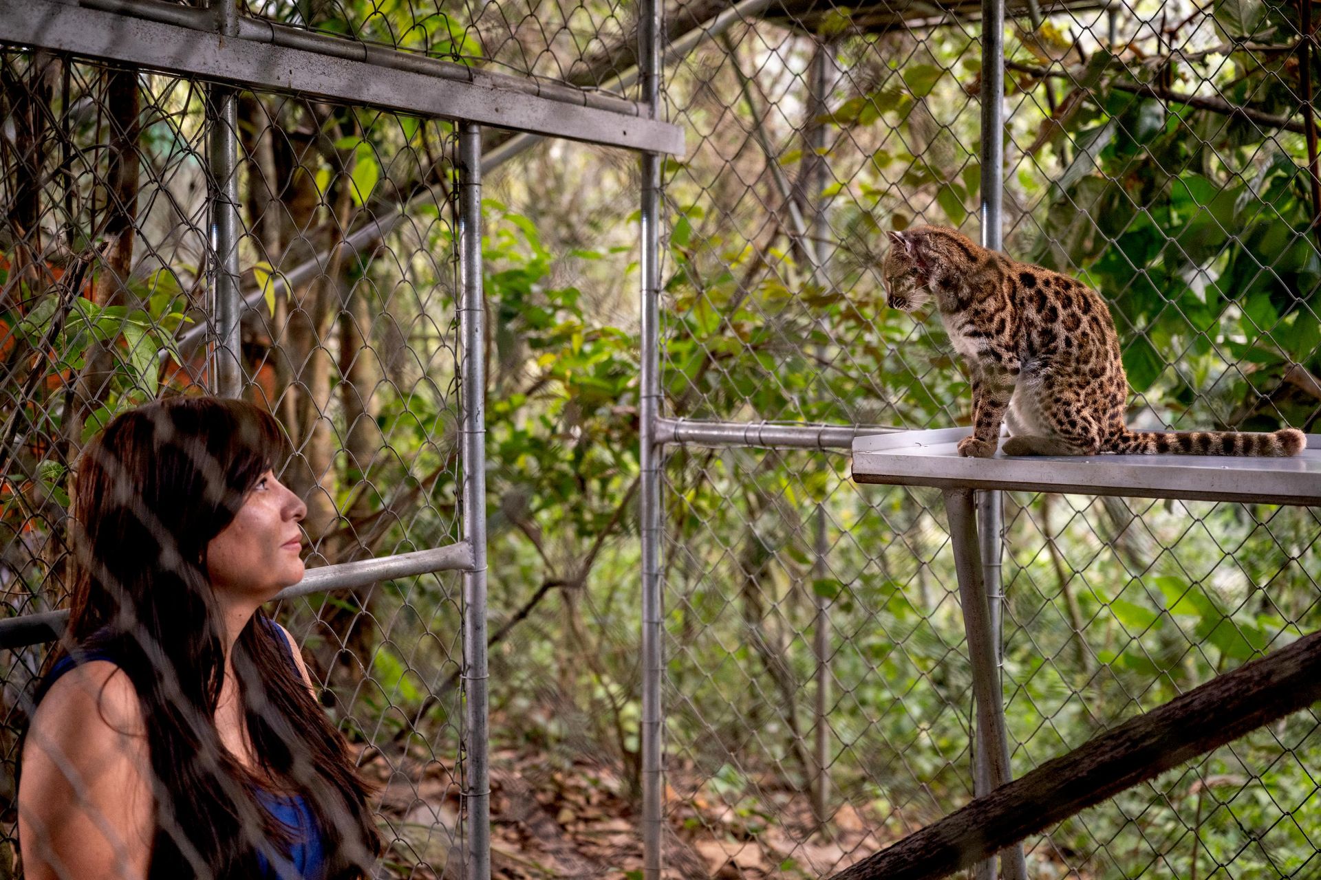 A exploradora da National Geographic Paola Nogales Ascarrunz e o gato Leopardus tilcayo