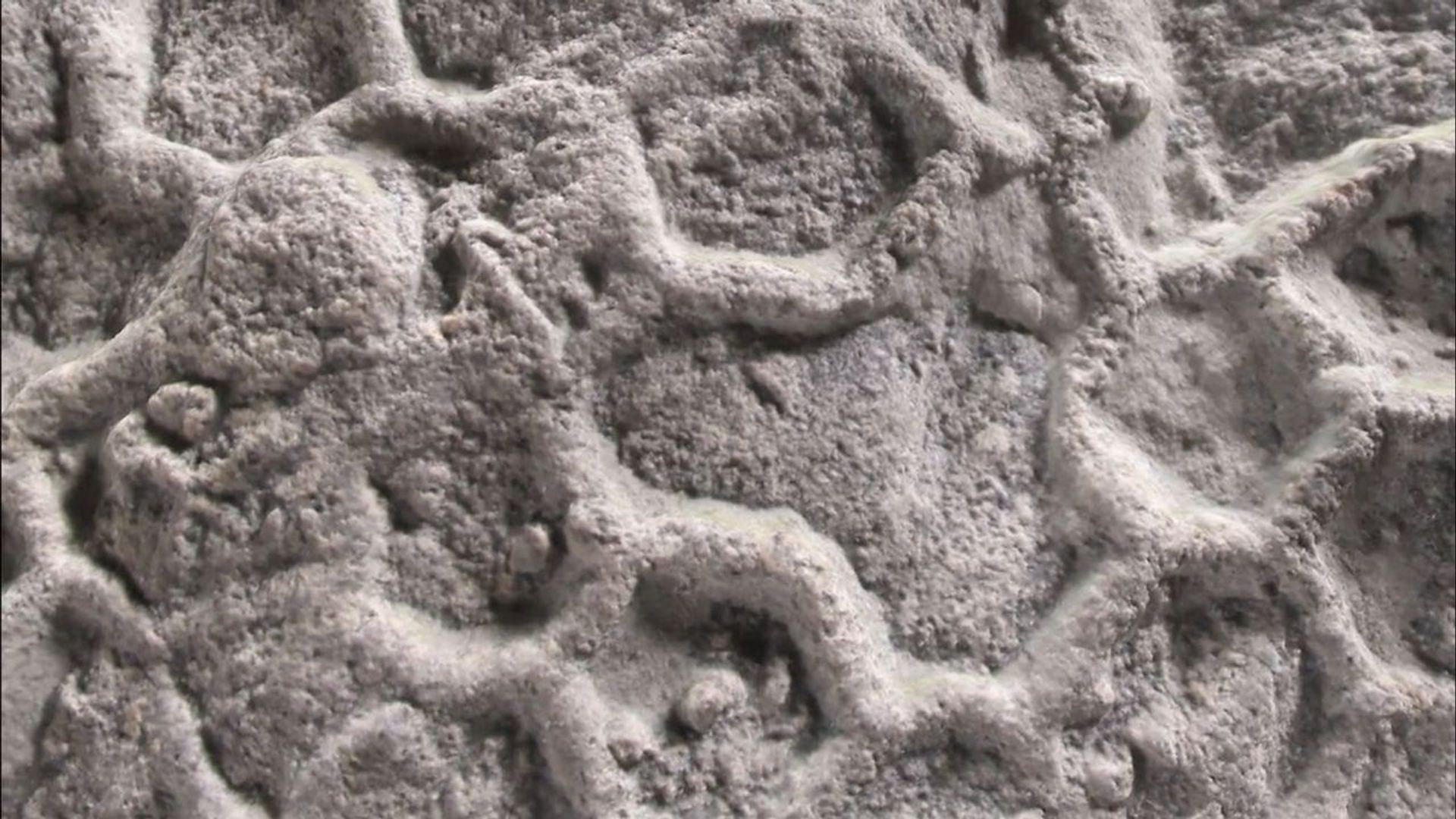 🪨 Mistério de 150 anos: cientistas apontam possível autor de estruturas em 'favo de mel' fossilizadas 🪨 Mistério de 150 anos: cientistas apontam possível autor de estruturas em 'favo de mel' fossilizadas - Sputnik Brasil, 1920, 19.09.2026