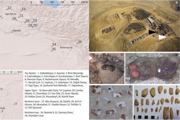 Sítio de Gobeklitepe, com a localização de dois túmulos e dos fragmentos dos ossos humanos encontrados na área principal da escavação. - Sputnik Brasil