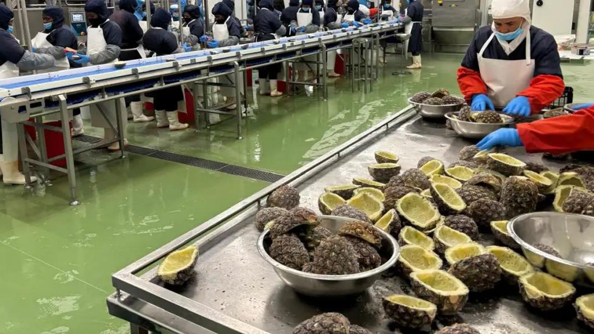 Em 2022, a Sirius Engineering foi contratada pela DC Foods para desenvolver um modelo de expansão de longo prazo. Localizada em Coega, na cidade de Gqeberha, a empresa é uma importante exportadora sul-africana de frutas congeladas, sorbets e produtos lácteos Em 2022, a Sirius Engineering foi contratada pela DC Foods para desenvolver um modelo de expansão de longo prazo. Localizada em Coega, na cidade de Gqeberha, a empresa é uma importante exportadora sul-africana de frutas congeladas, sorbets e produtos lácteos - Sputnik Brasil, 1920, 01.10.2026