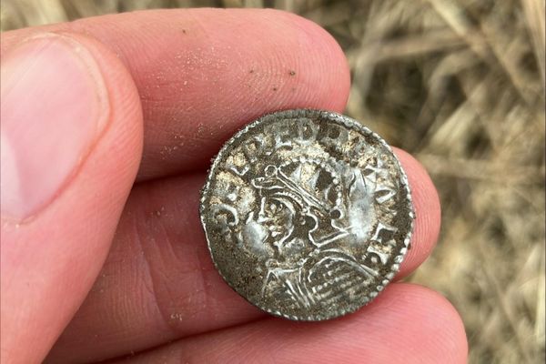 Moedas da Era Viking descobertas em campo no leste da Noruega - Sputnik Brasil