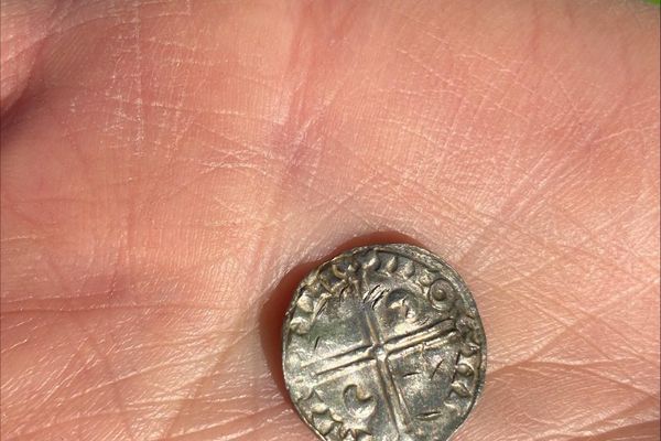 Moedas da Era Viking descobertas em campo no leste da Noruega - Sputnik Brasil