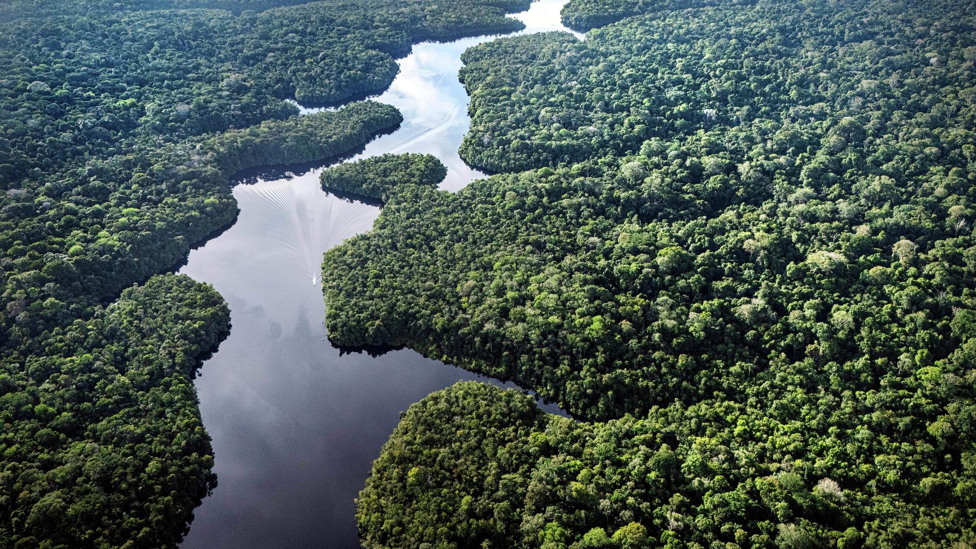 O rio Curuá passa perto do projeto Esecaflor, onde cientistas simulam condições de seca para entender como a floresta tropical poderia responder a um futuro mais seco, na Floresta Nacional de Caxiuanã, no estado do Pará, Brasil O rio Curuá passa perto do projeto Esecaflor, onde cientistas simulam condições de seca para entender como a floresta tropical poderia responder a um futuro mais seco, na Floresta Nacional de Caxiuanã, no estado do Pará, Brasil - Sputnik Brasil, 1920, 15.10.2026