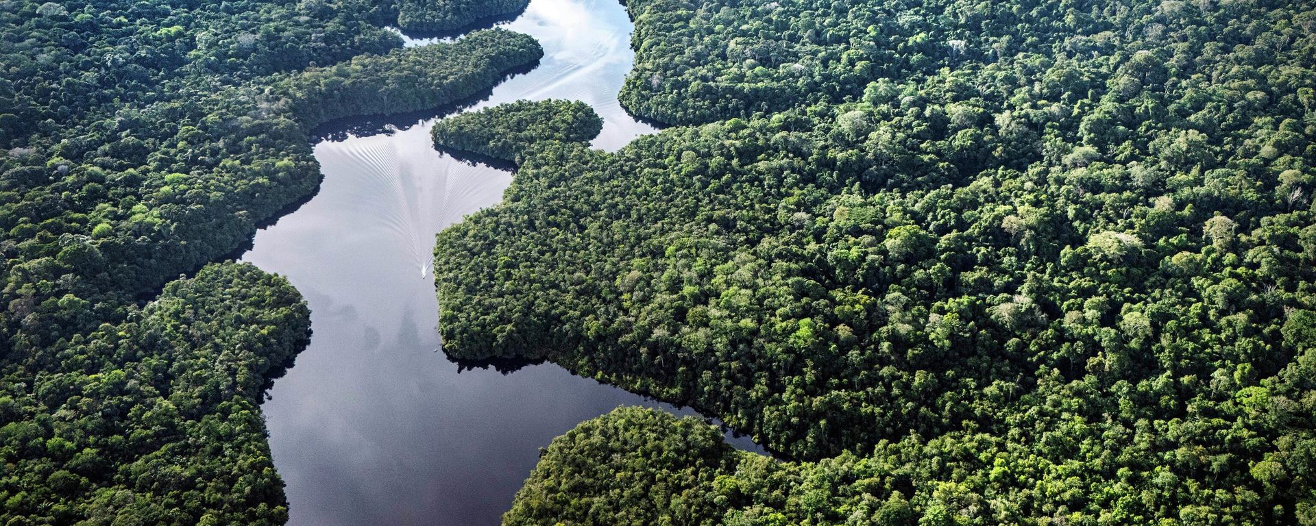 O rio Curuá passa perto do projeto Esecaflor, onde cientistas simulam condições de seca para entender como a floresta tropical poderia responder a um futuro mais seco, na Floresta Nacional de Caxiuanã, no estado do Pará, Brasil - Sputnik Brasil, 1920, 15.10.2026