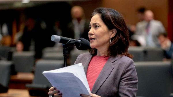 Elika Takimoto discursa na Assembleia Legislativa do Rio de Janeiro - Sputnik Brasil