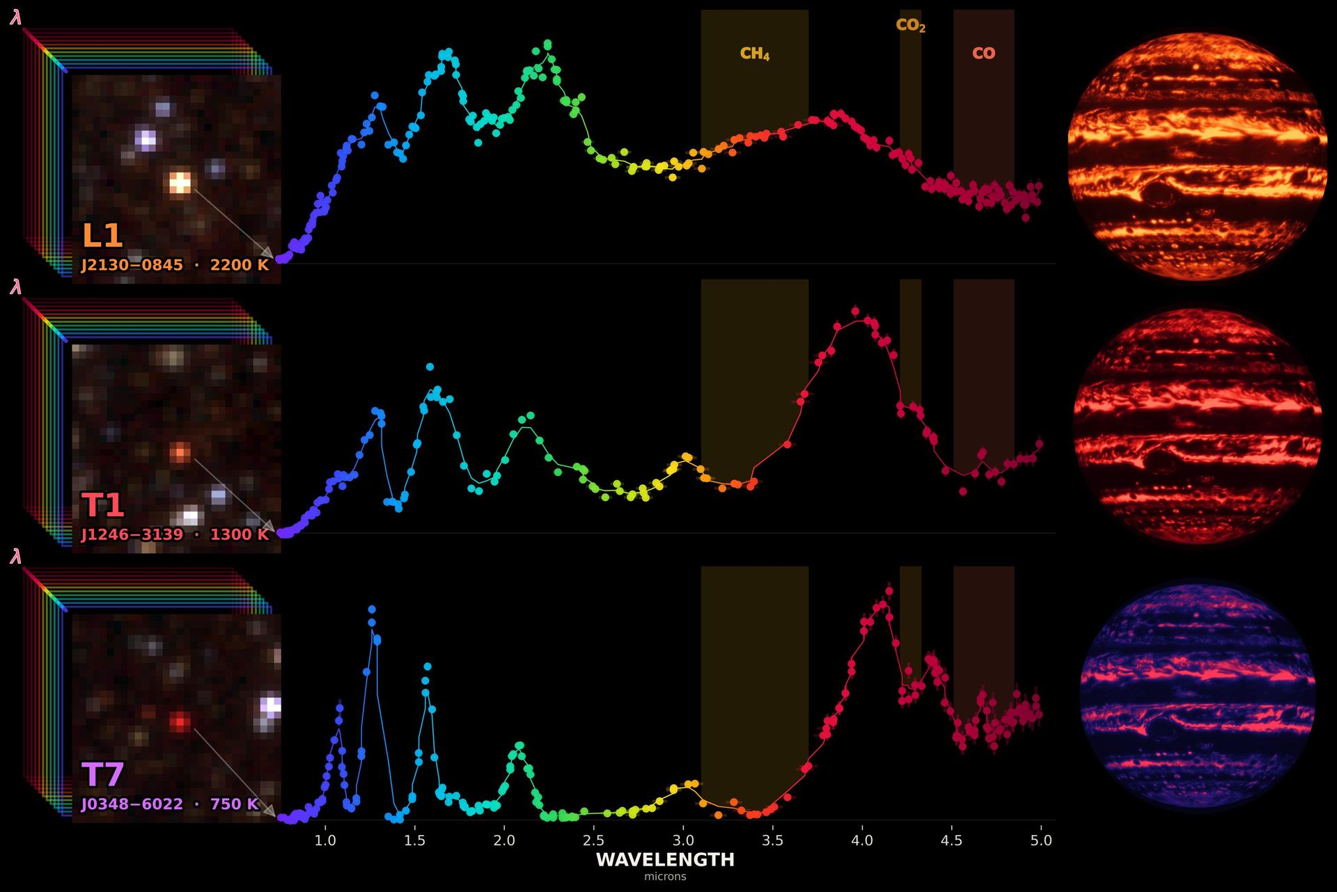 Graças à sua cobertura espectral, o SPHEREx, da NASA, está revelando moléculas como metano (CH4), dióxido de carbono (CO2) e monóxido de carbono (CO) nas atmosferas de anãs marrons. À esquerda, é apresentada a visão que o telescópio tem de três anãs marrons distintas; as representações à direita as retratam como mundos semelhantes a Júpiter Graças à sua cobertura espectral, o SPHEREx, da NASA, está revelando a presença de moléculas nas atmosferas de anãs marrons.