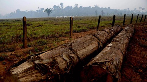 INPE aponta maioria das queimadas no Amazonas em propriedades privadas - Sputnik Brasil