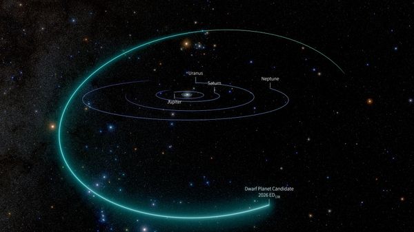 Vista do Sistema Solar mostrando a trajetória orbital da recém-descoberta candidata a planeta anão 2026 ED138 (ED138). O objeto foi identificado em dados observacionais do Observatório Vera C. Rubin, da NSF e do DOE, coletados entre 4 de março e 11 de julho de 2026. Nesta ilustração, o candidato aparece na posição ocupada em 8 de maio de 2026 - Sputnik Brasil