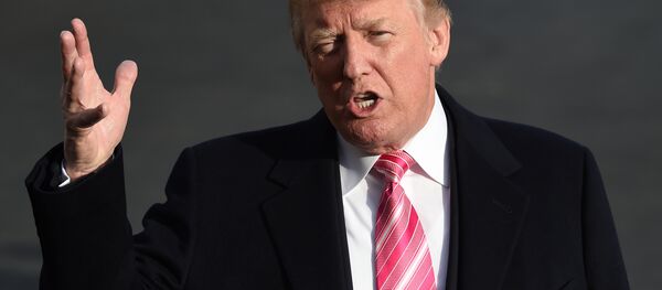 Presidente norte-americano, Donald Trump, fala com jornalistas Presidente norte-americano, Donald Trump, fala com jornalistas - Sputnik Brasil