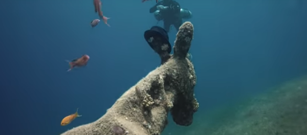 Russo encontra 'burro' vivendo debaixo d’água - Sputnik Brasil