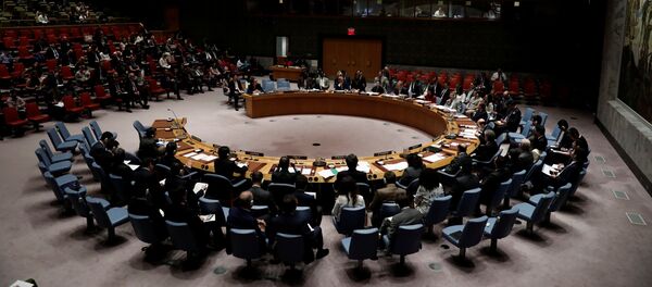 Sessão do Conselho de Segurança da ONU - Sputnik Brasil