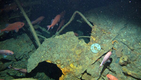 Wreckage of the submarine HMAS AE1 which was located in waters off the Duke of York Island group in Papua New Guinea is seen on a supplied photo released on December 21, 2017 - Sputnik Brasil