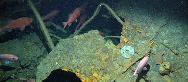 Wreckage of the submarine HMAS AE1 which was located in waters off the Duke of York Island group in Papua New Guinea is seen on a supplied photo released on December 21, 2017 - Sputnik Brasil