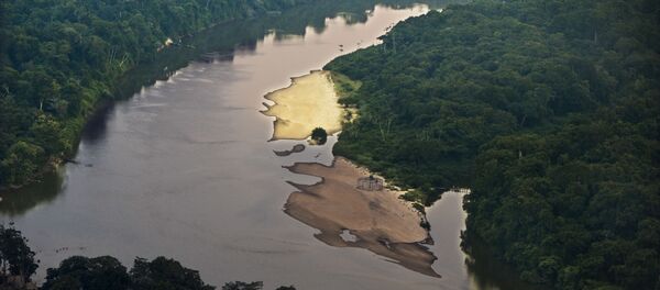 Desde que foi criado em 2008, Fundo Amazônia já financiou 93 projetos de preservação - Sputnik Brasil