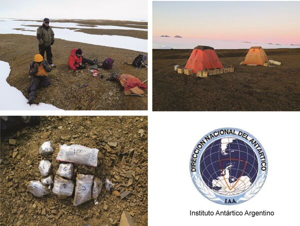 Imagens da expedição que encontrou os fósseis de uma plesiosauria com cerca de 150 milhões de anos na Antártica. - Sputnik Brasil