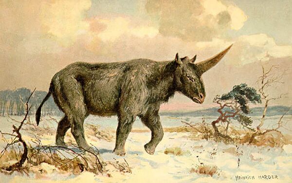 Unicórnio siberiano Elasmotherium sibiricum - Sputnik Brasil