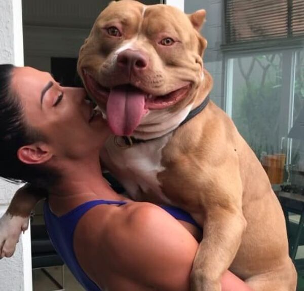 Cachorro da Gracyanne Barbosa fez sucesso na internet em 2017 pelas expressões inusitadas. - Sputnik Brasil