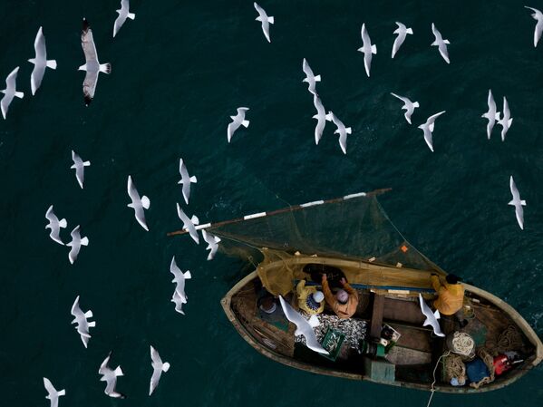 Pescadores em Sevastopol, Rússia - Sputnik Brasil