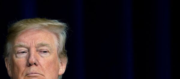 Presidente norte-americano, Donald Trump, durante a entrevista com jornalistas em Camp David, 6 de janeiro de 2018 - Sputnik Brasil
