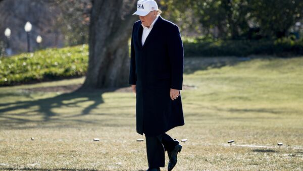 O presidente Donald Trump atravessa o gramado da Casa Branca em Washington. - Sputnik Brasil
