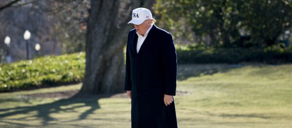 President Donald Trump walks across the South Lawn as he arrives at the White House in Washington, Sunday, Jan. 7, 2018, after traveling from Camp David, Md. President Donald Trump walks across the South Lawn as he arrives at the White House in Washington, Sunday, Jan. 7, 2018, after traveling from Camp David, Md. - Sputnik Brasil