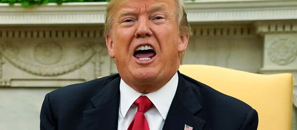 Presidente dos EUA, Donald Trump, falando com jornalistas na Casa Branca, Washington - Sputnik Brasil
