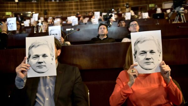 People attend a video conference of WikiLeaks founder Julian Assange at the International Center for Advanced Communication Studies for Latin America (CIESPAL) auditorium in Quito on June 23, 2016. - Sputnik Brasil