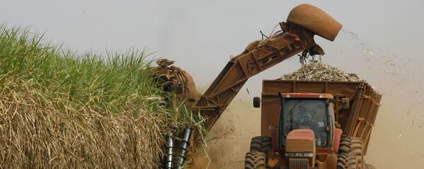 Exportações do agronegócio somaram US$ 96 bilhões em 2017 - Sputnik Brasil