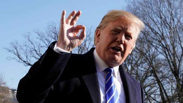 U.S. President Donald Trump gestures as he talks to the media on South Lawn of the White House in Washington, U.S., before his departure to Camp David, December 16, 2017 - Sputnik Brasil