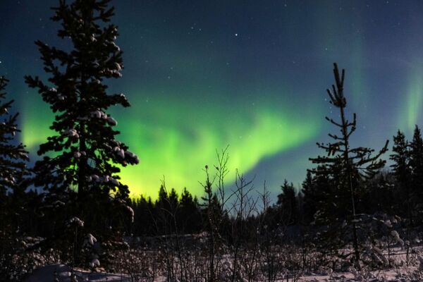 Aurora boreal nos arredores do povoado Lovozero, na região russa de Murmansk - Sputnik Brasil