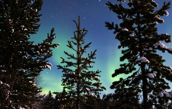 Aurora boreal nos arredores do povoado Lovozero, na região russa de Murmansk - Sputnik Brasil