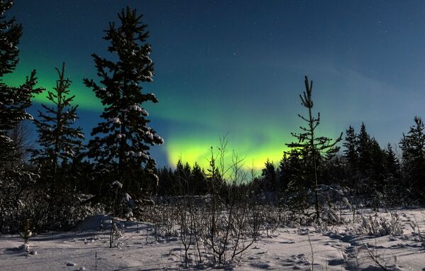 Aurora boreal nos arredores do povoado Lovozero, na região russa de Murmansk - Sputnik Brasil