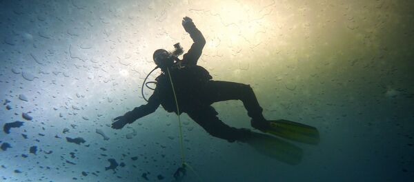Mergulhador - Sputnik Brasil