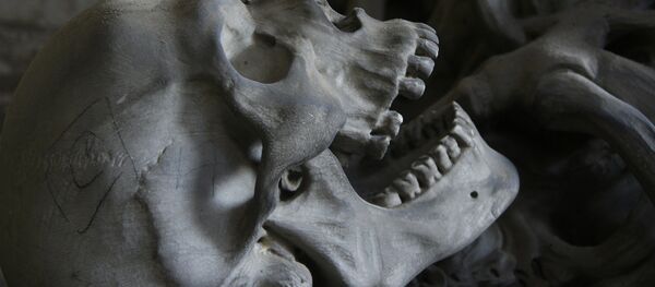 Crânio - Sputnik Brasil