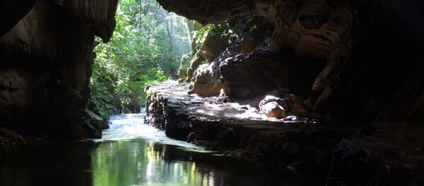 PETAR - Sputnik Brasil