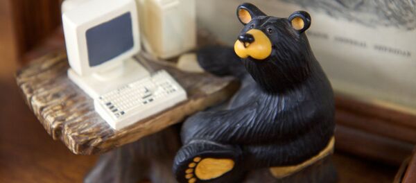 Russian hacker bear - Sputnik Brasil