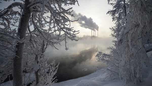 Inverno na Sibéria (foto de arquivo) - Sputnik Brasil