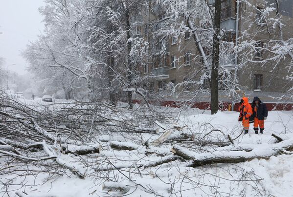 Empregados dos serviços públicos removem árvores caídas durante nevada em Moscou - Sputnik Brasil