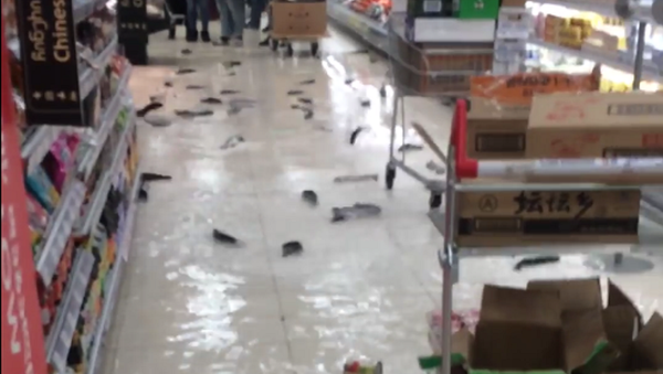 Peixes em supermercado - Sputnik Brasil