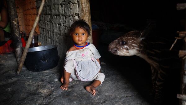 Uma criança indígena em uma aldeia dos yanomamis, na Venezuela - Sputnik Brasil