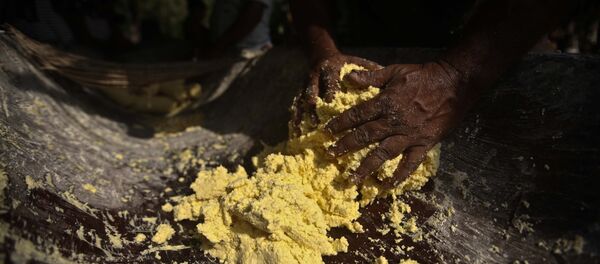 Comunidade quilombola no Pará - Sputnik Brasil